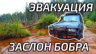 Оффроад соревнования. Эвакуация.