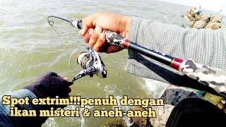 SPOT EXTRIM!!!Mancing disini dapatnya ikan aneh-aneh