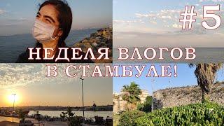 КРАСИВЫЙ ГОРОД СТАМБУЛ! Неделя Влогов #5