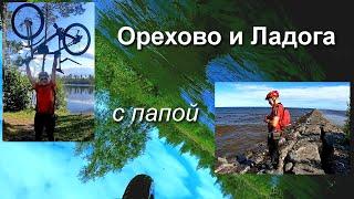 Орехово - Ладога с папой, 1 августа 2020