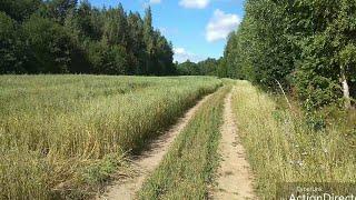 За Волгой. Новочебоксарск. Обычная прогулка. 24 июля 2020 г.