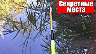 КАРПЫ на ДИКАРЕ на ПОПЛАВОК. Рыбалка