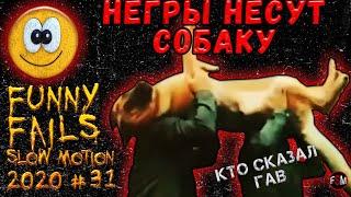 СМЕШНЫЕ ВИДЕО #31 | НЕГРЫ НЕСУТ СОБАКУ | DOG COFFIN DANCE