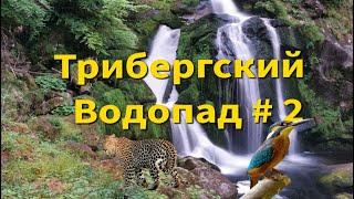 Покатушки по Шварцвальду Трибергский водопад#2