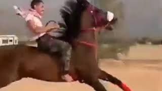 Жылқы шабу өте керемет 