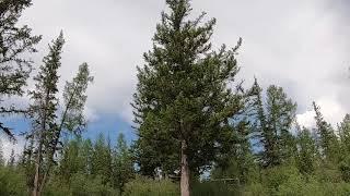 Магия облаков ( timelapse)