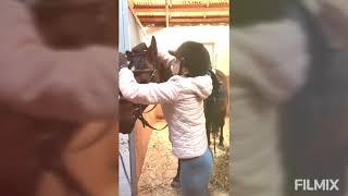 Конный спорт в моей жизни. Спорт - альтернатива пагубным привычкам.