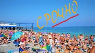 В Сочи Хамство, Грубость, Грязные Пляжи