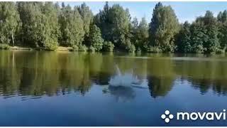 Клип. ПРЫЖКИ В ВОДУ С ТАРЗАНКИ