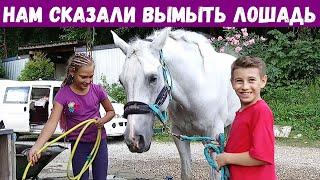 Нам сказали помыть лошадь, Дети 10 лет, Конный спорт, Конюшня в Сочи, Смайли, Smile, 717