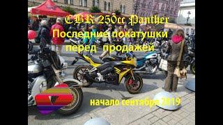 Желток последние покатушки Replica Honda Cbr 250 Panther