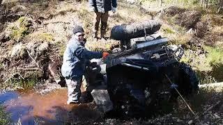 Через лес к болоту