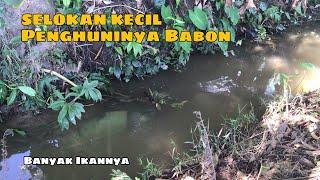 Mancing Di Selokan Ini Bikin Betah