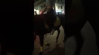 Девушка- Нет!! На лошади. #Москва #сквер #девушки
