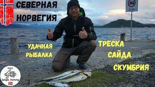УДАЧНАЯ РЫБАЛКА НА СЕВЕРЕ НОРВЕГИИ. Рыбалка в Норвегии, город Харстад. ТРЕСКА, САЙДА, СКУМБРИЯ.