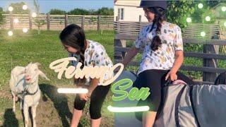 Vlog/ Конный клуб 