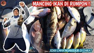 MANCING DI RUMPON ! MENGGUNAKAN TEKNIK DASARAN DAN UMPAN UDANG HIDUP