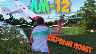 ЛМ-12 | Самодельный самолет на радиоуправлении | Первый запуск
