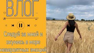 ВЛОГ // Лошади // верховая езда // веселые выходные // Зарик Вещает