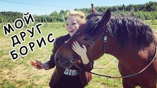 Каталась верхом на лошади мой Самый Лучший День!