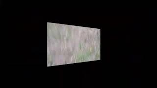 Экстрим видео 