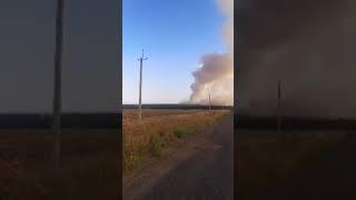 Пожар в Двуречанском районе. Видео: Андрей Кущ