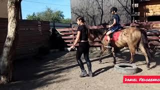 Моя первая тренировка верховой езды