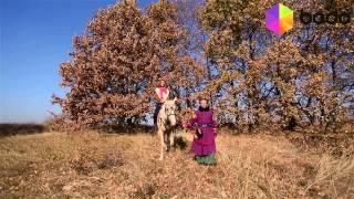 Прогулка на лошади