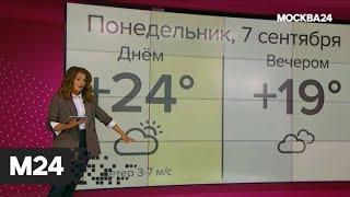 "Атмосфера": теплая погода ожидается в столице 7 сентября - Москва 24