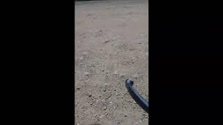 Покатушки на скутаре Honda dio af 28