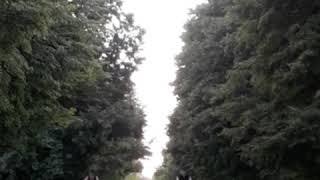 Покатушки 06/07/2020