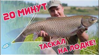 МЕТРОВЫЕ АМУРЫ ПРОВЕРЯЮТ СНАСТИ НА ПРОЧНОСТЬ! Давно так не кайфовал. Новый рекорд по белому Амуру!