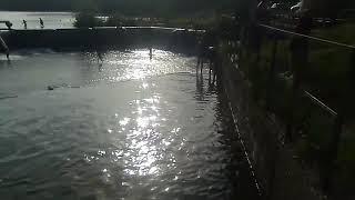 неудачный прыжок в воду