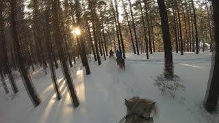 Езда на лошади GoPro - НеБо