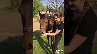 Horse riding fun, tiktok.  I love horseriding.