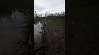 Покатушки на скутере и падение