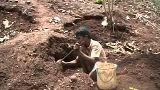 Pemburu Batu Mangan 1 ( Yura Tofan Samudra )