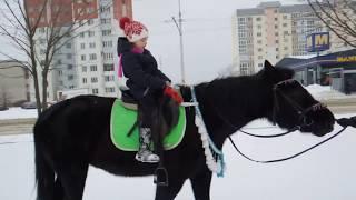 Зимушка- зима. Зимняя прогулка верхом на лошади. Верховая езда на лошади.