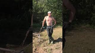 Коні Стрийщини. Копаєм картоплю