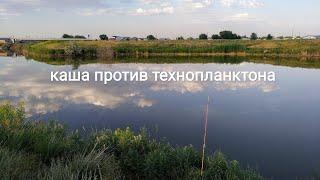 Хороша каша, но не наша. Рыбалка на толстолоба в Алматы.