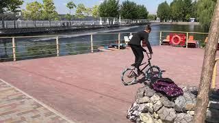 Bmx profile 2019