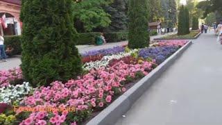 Покатушки.   В городской парк Саратова