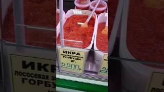 Путешествие на Камчатку