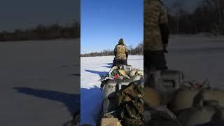 Снегоход буран с грузом