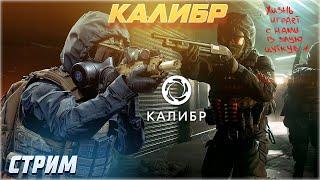 Калибр качаем, Стрим Докачиваем оперативников