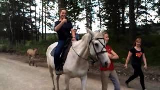Как мы катались верхом на лошади в лесу