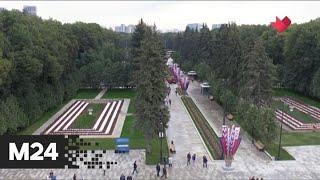 "Это наш город": более 70 тыс человек посетили Северный речной вокзал со дня открытия - Москва 24