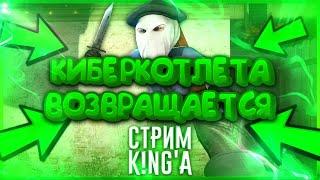 ДОБРЫЙ ДЕНЬ!!!!!СТРИМ ПО КС ГО+ВЕБКА