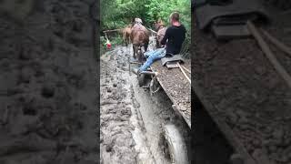 Коні Стрийщини. Підсипаєм дорогу частина 2
