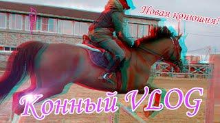 Конный VLOG/Новая конюшня!/Новая лошадь!